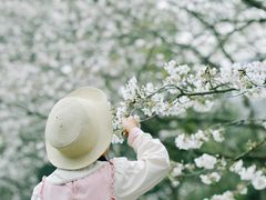 -杭州少年儿童公园