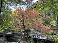 -本溪汤沟绿石谷森林公园