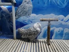 -成都浩海立方海洋公园