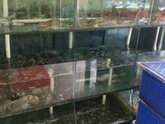 水产区-天天渔港海鲜酒家(石浦玉泉路店)