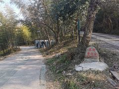 -紫金山山顶公园