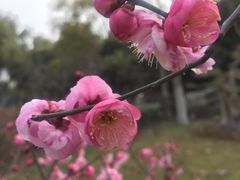 -汉水公园