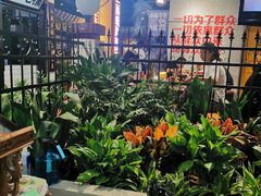 -楠火锅(龙阳广场店)