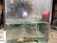 -波塞冬海底世界