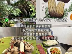 -西双版纳原始森林公园