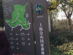 -上海佘山国家森林公园天马山园