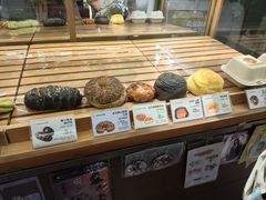 -奈雪的茶(石家庄万象城店)