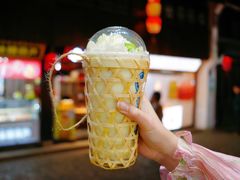 -南翔古镇