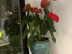 -荷风细雨·中国茶宴(碧云店)