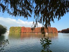 -上海海湾国家森林公园