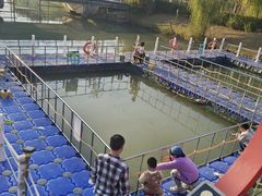 -菊园百果园