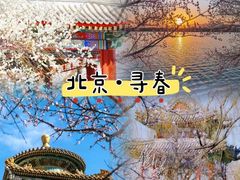 -颐和园
