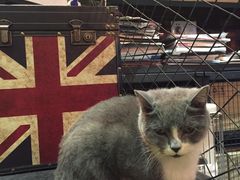 大堂-MIKAKU(万达广场上海宝山店)