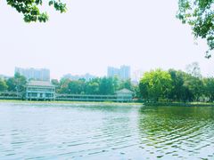 -荔湾湖公园