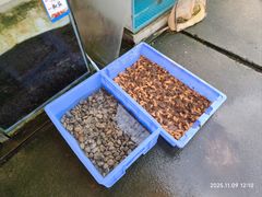 -台山新孖宝柴火黄鳝饭(三合温泉店)