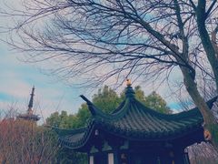 -上海佘山国家森林公园西佘山园