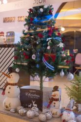 点击看大图 -MERRY COLOR时尚摄影体验店