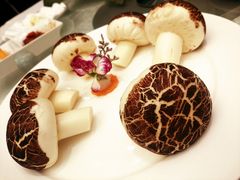 -亢龙太子酒轩(东湖店)