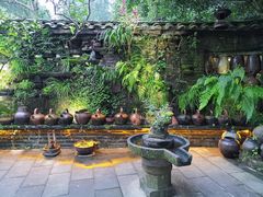 -青城甲(青城山店)