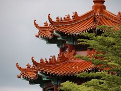 -神光山国家森林公园