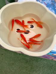 -萌宠亲子动物乐园(槐房万达店)