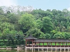 -龙头寺公园