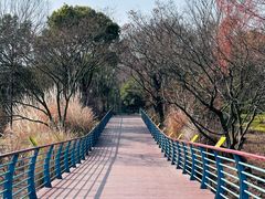 -上海吴淞炮台湾国家湿地公园