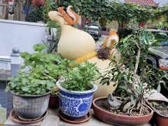 -丽泽山庄·生态怀柔菜·虹鳟鱼(红螺寺店)