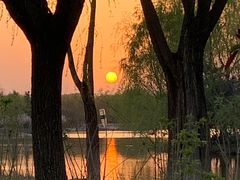 -大兴滨河森林公园