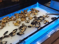 -鑫海汇海鲜烤肉火锅自助(七彩城店)