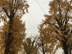 -百林公园-两江幸福广场
