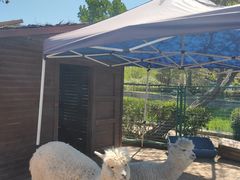 -南戴河国际娱乐中心