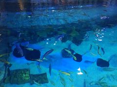 -华夏文旅海洋公园