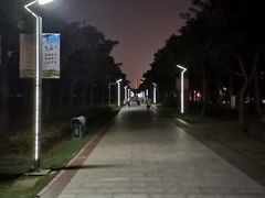 -万绿园