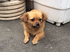 iphone_upload_pic-嘉善老市