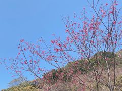 -小南山公园