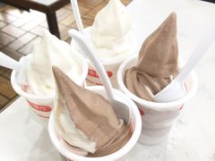 双色冰淇淋-冰岛茶餐厅(人民路店)