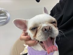 -怪兽屋·羊驼·猫咖·狗咖(俊华广场店)