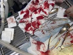 -特一安24小时宠物医院·骨科·中兽医