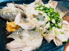 葱油淋鲈鱼-粤·向群饭店(泮塘路店)