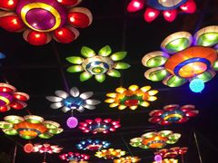 -飞凤山奥体公园