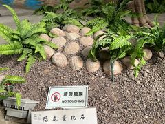 -延庆地质公园博物馆