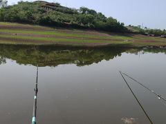 -郴州特产舜华临武鸭(郴州西站店)