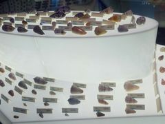 景点-贝壳梦幻世界