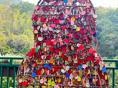 -西双版纳原始森林公园