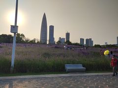 -深圳人才公园