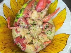 -食德喜·阳山鸡王食研基地