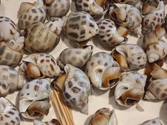 -海儀美食楼(湾仔海鲜街店)