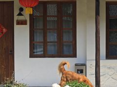 -莫干山风景区