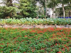 -北京邮电大学